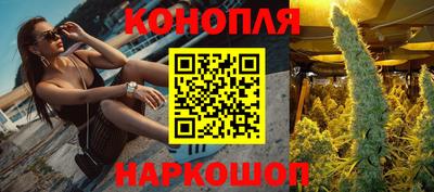 гидра Заволжье