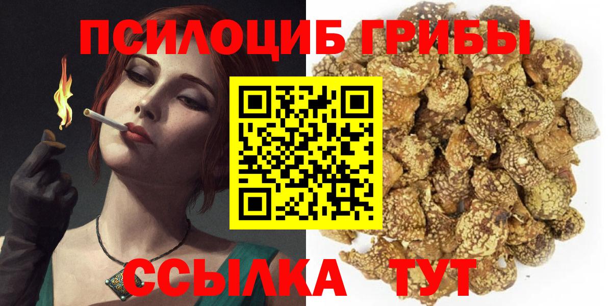 Псилоцибиновые грибы Psilocybe  Вход с VPN  Дивногорск 